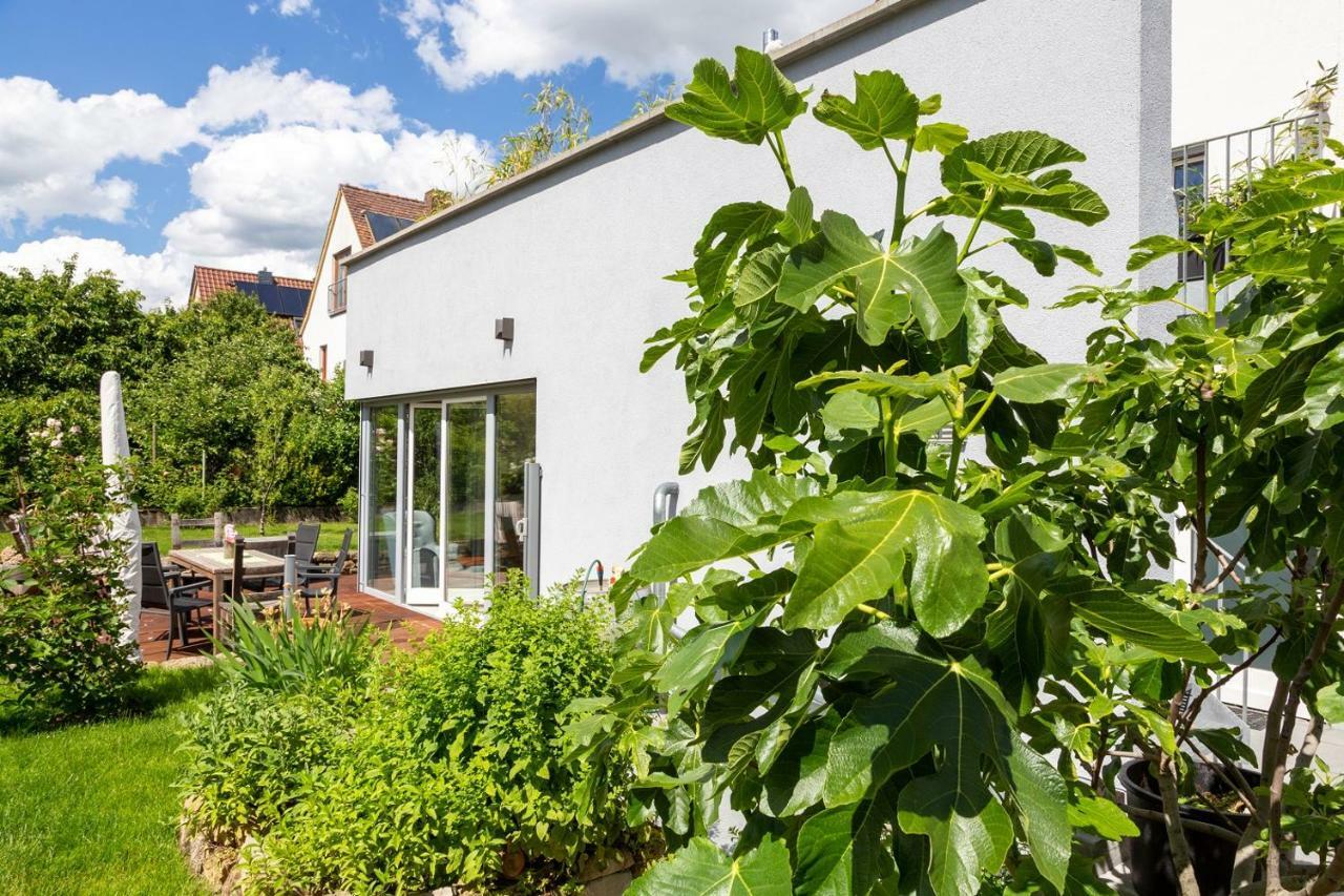 Ferienwohnung Im Paradiesgarten ダイデスハイム エクステリア 写真